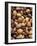 Assorted Nuts-Vladimir Shulevsky-Framed Photographic Print