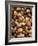 Assorted Nuts-Vladimir Shulevsky-Framed Photographic Print