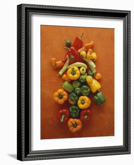 Assorted Peppers-Luzia Ellert-Framed Photographic Print