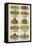 Assorted Salad Dishes-Isabella Beeton-Framed Premier Image Canvas