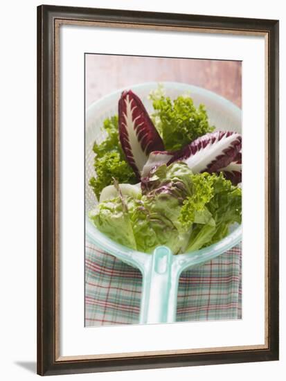 Assorted Salad Leaves in Plastic Strainer-Foodcollection-Framed Photographic Print