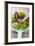 Assorted Salad Leaves in Plastic Strainer-Foodcollection-Framed Photographic Print