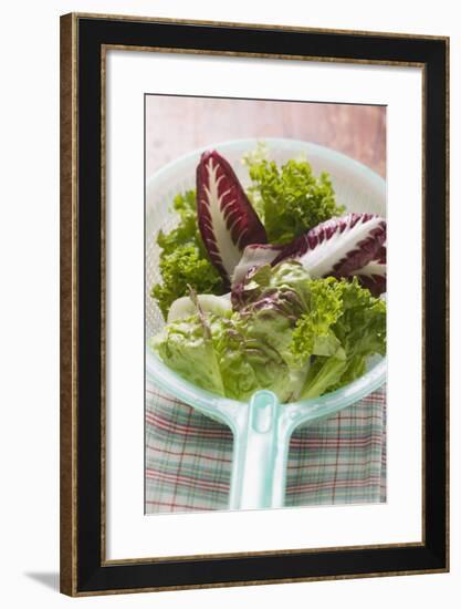 Assorted Salad Leaves in Plastic Strainer-Foodcollection-Framed Photographic Print