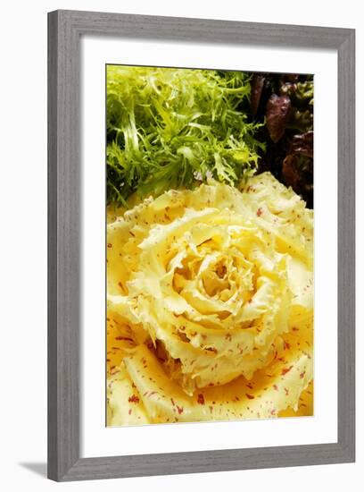 Assorted Salad Leaves with Yellow Radicchio-Foodcollection-Framed Photographic Print