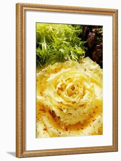Assorted Salad Leaves with Yellow Radicchio-Foodcollection-Framed Photographic Print