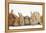 Assorted Sandy Rabbits and Guinea Pigs-Mark Taylor-Framed Premier Image Canvas