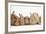 Assorted Sandy Rabbits and Guinea Pigs-Mark Taylor-Framed Photographic Print