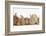 Assorted Sandy Rabbits and Guinea Pigs-Mark Taylor-Framed Photographic Print