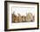 Assorted Sandy Rabbits and Guinea Pigs-Mark Taylor-Framed Photographic Print