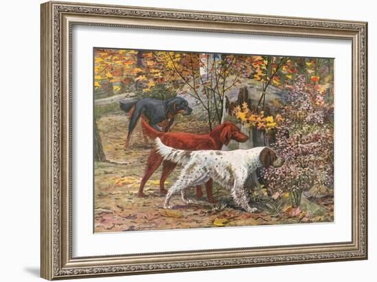 Assorted Setters-Louis Agassiz Fuertes-Framed Art Print