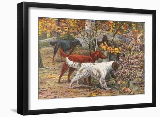 Assorted Setters-Louis Agassiz Fuertes-Framed Art Print