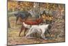 Assorted Setters-Louis Agassiz Fuertes-Mounted Art Print