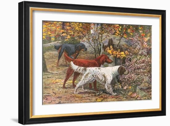 Assorted Setters-Louis Agassiz Fuertes-Framed Art Print