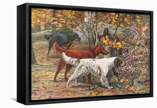 Assorted Setters-Louis Agassiz Fuertes-Framed Stretched Canvas