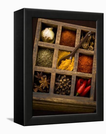 Assorted Spices in Type Case-Greg Elms-Framed Premier Image Canvas