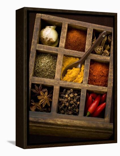 Assorted Spices in Type Case-Greg Elms-Framed Premier Image Canvas