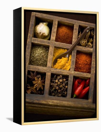 Assorted Spices in Type Case-Greg Elms-Framed Premier Image Canvas