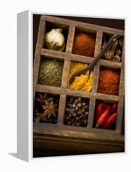 Assorted Spices in Type Case-Greg Elms-Framed Premier Image Canvas