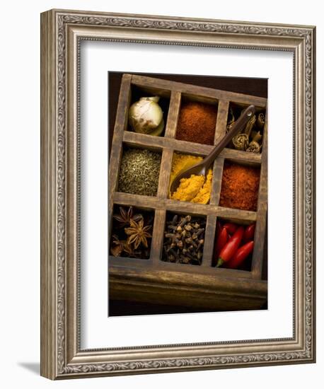 Assorted Spices in Type Case-Greg Elms-Framed Photographic Print