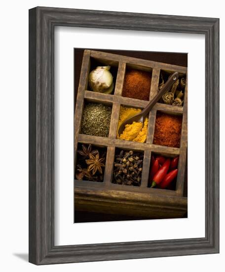 Assorted Spices in Type Case-Greg Elms-Framed Photographic Print