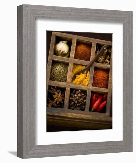 Assorted Spices in Type Case-Greg Elms-Framed Photographic Print