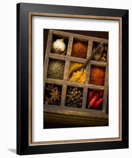 Assorted Spices in Type Case-Greg Elms-Framed Photographic Print