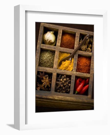 Assorted Spices in Type Case-Greg Elms-Framed Photographic Print