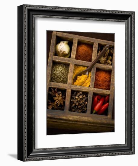 Assorted Spices in Type Case-Greg Elms-Framed Photographic Print