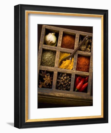 Assorted Spices in Type Case-Greg Elms-Framed Photographic Print