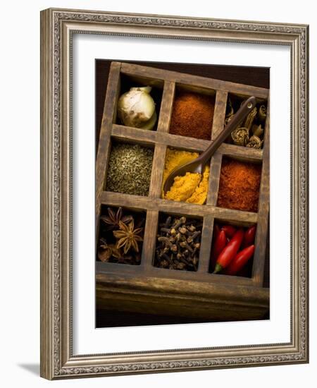 Assorted Spices in Type Case-Greg Elms-Framed Photographic Print