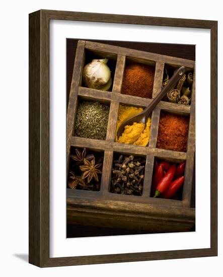 Assorted Spices in Type Case-Greg Elms-Framed Photographic Print