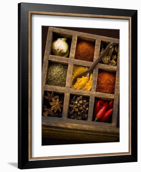 Assorted Spices in Type Case-Greg Elms-Framed Photographic Print