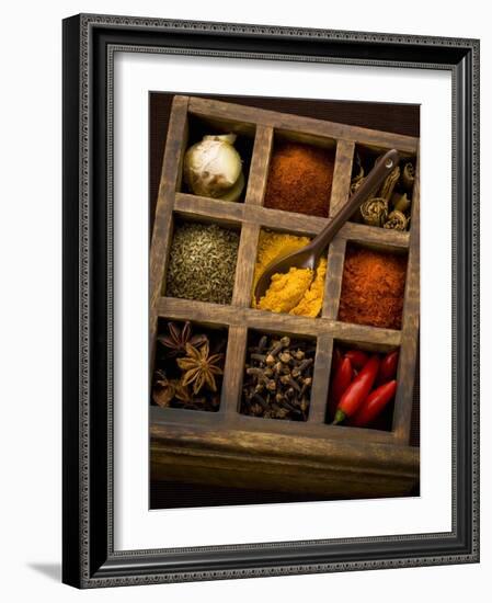 Assorted Spices in Type Case-Greg Elms-Framed Photographic Print