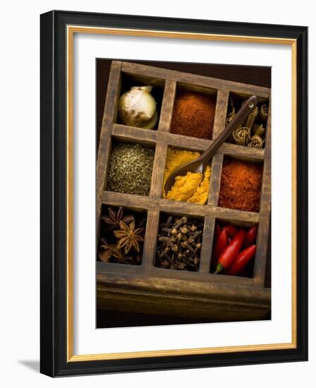 Assorted Spices in Type Case-Greg Elms-Framed Photographic Print