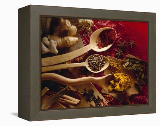 Assorted Spices in Wooden Spoons-Ulrike Koeb-Framed Premier Image Canvas