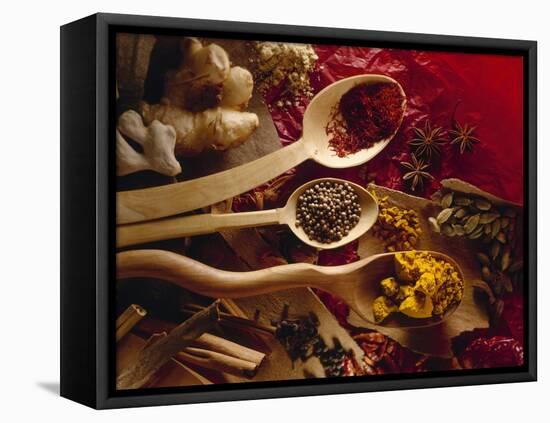 Assorted Spices in Wooden Spoons-Ulrike Koeb-Framed Premier Image Canvas