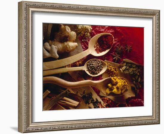 Assorted Spices in Wooden Spoons-Ulrike Koeb-Framed Photographic Print