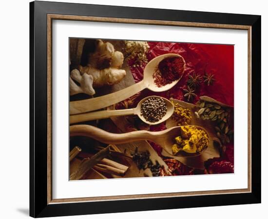 Assorted Spices in Wooden Spoons-Ulrike Koeb-Framed Photographic Print