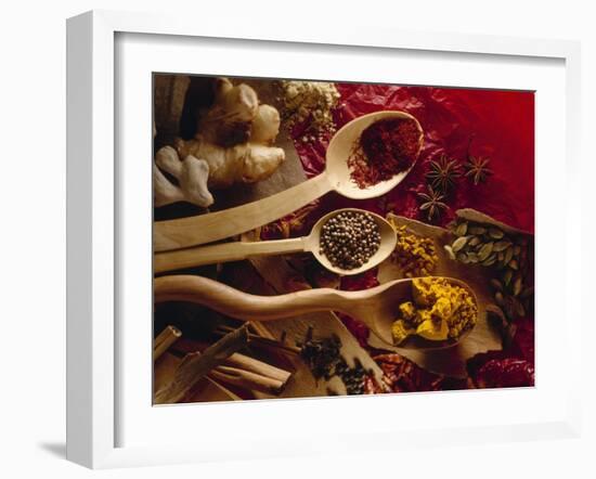 Assorted Spices in Wooden Spoons-Ulrike Koeb-Framed Photographic Print