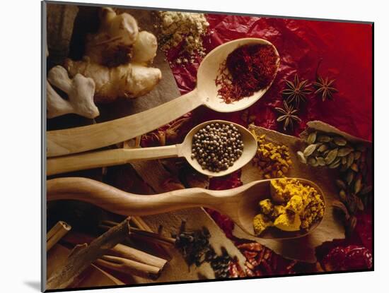 Assorted Spices in Wooden Spoons-Ulrike Koeb-Mounted Photographic Print