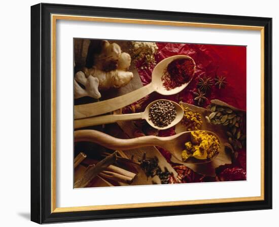 Assorted Spices in Wooden Spoons-Ulrike Koeb-Framed Photographic Print