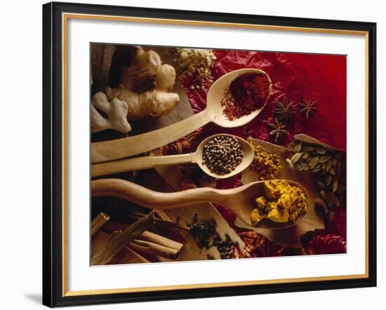 Assorted Spices in Wooden Spoons-Ulrike Koeb-Framed Photographic Print