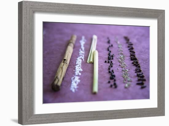 Assorted Spices-Veronique Leplat-Framed Photographic Print