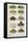 Assorted Vegetable Dishes-Isabella Beeton-Framed Premier Image Canvas