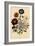 Assortment of Dahlias-null-Framed Giclee Print