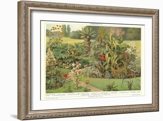 Assortment of Garden Plants-null-Framed Art Print