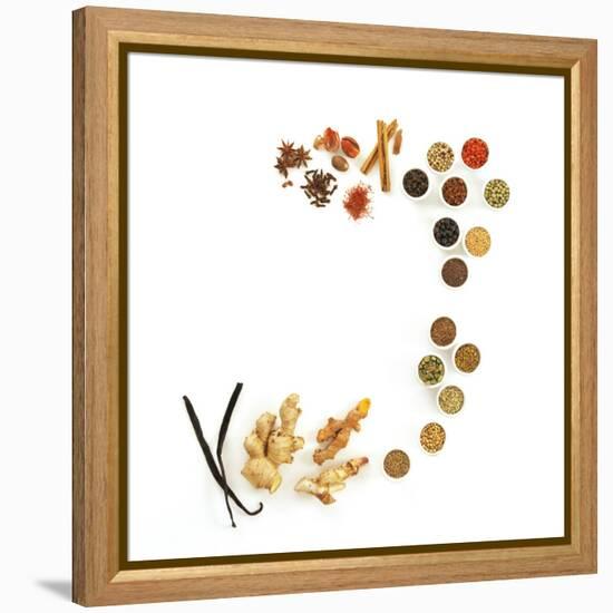 Assortment of Spices-David Munns-Framed Premier Image Canvas