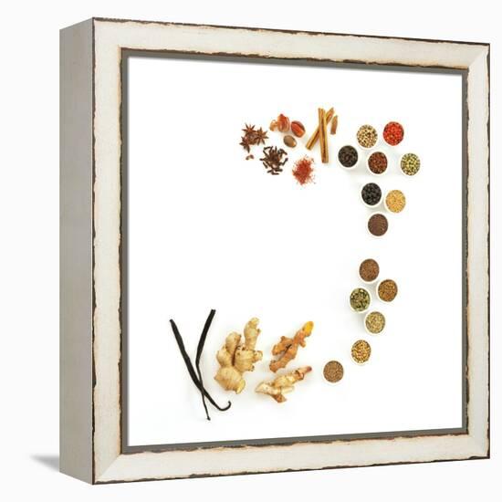 Assortment of Spices-David Munns-Framed Premier Image Canvas