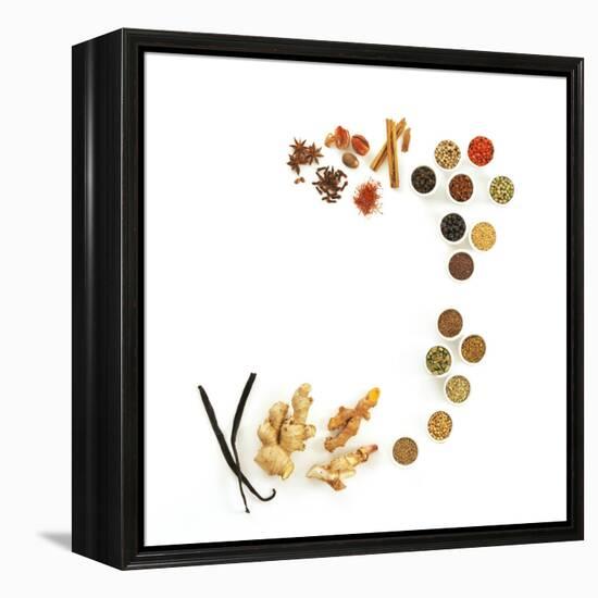 Assortment of Spices-David Munns-Framed Premier Image Canvas