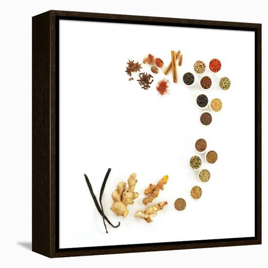 Assortment of Spices-David Munns-Framed Premier Image Canvas